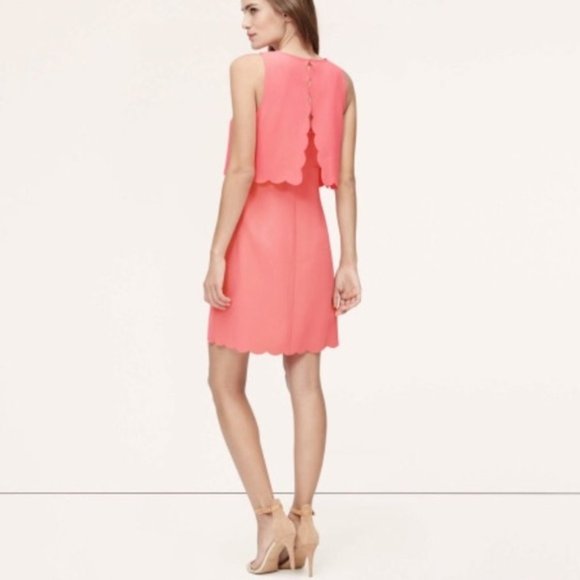 Ann Taylor LOFT coral scalloped dress - Picture 2 of 7
